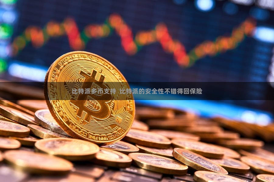 比特派多币支持  比特派的安全性不错得回保险