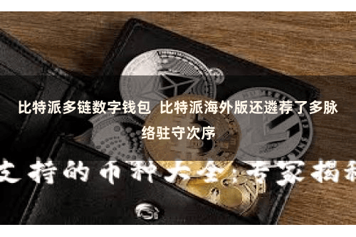 比特派多链数字钱包  比特派海外版还遴荐了多脉络驻守次序